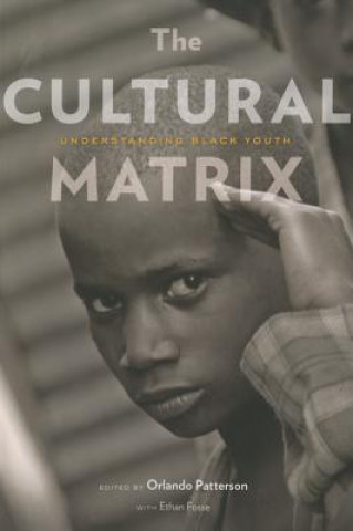 Könyv Cultural Matrix Orlando Patterson