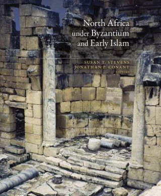 Książka North Africa under Byzantium and Early Islam Susan T. Stevens