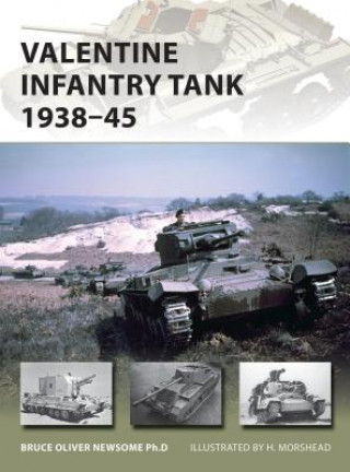 Könyv Valentine Infantry Tank 1938-45 Bruce Newsome