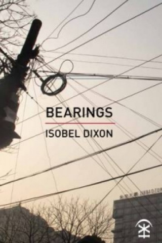 Knjiga Bearings Isobel Dixon