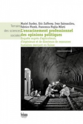 Kniha L'enracinement professionnel des opinions politiques Muriel Surdez