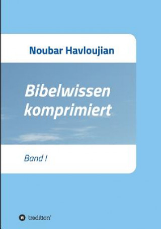 Könyv Bibelwissen komprimiert Noubar Havloujian