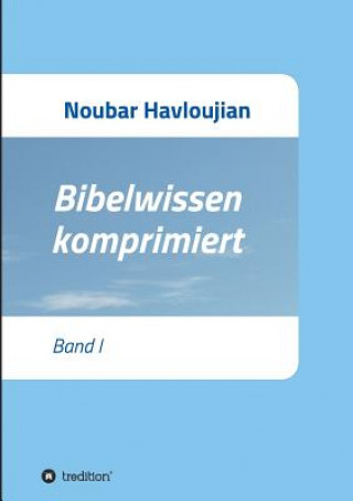 Buch Bibelwissen komprimiert Noubar Havloujian