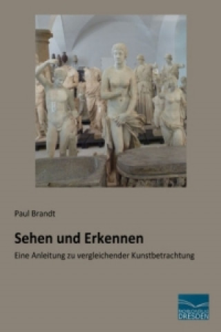 Könyv Sehen und Erkennen Paul Brandt