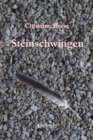 Knjiga Steinschwingen Christine Borse