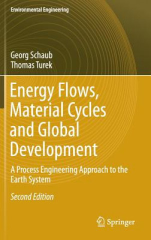 Könyv Energy Flows, Material Cycles and Global Development Georg Schaub
