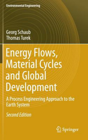 Kniha Energy Flows, Material Cycles and Global Development Georg Schaub