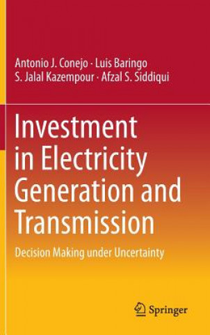 Книга Investment in Electricity Generation and Transmission Antonio J. Conejo