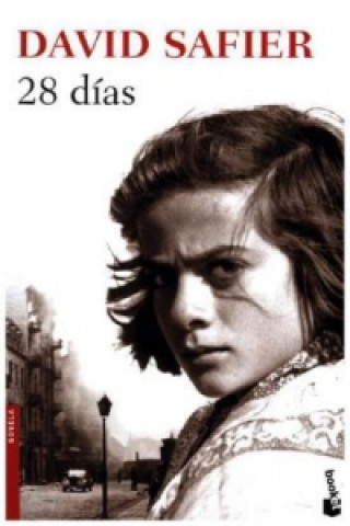 Buch 28 días DAVID SAFIER