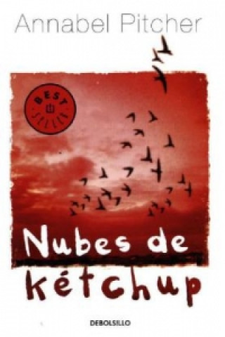 Kniha Nubes de ketchup ANNABEL PITCHER