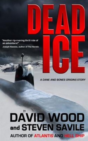 Book Dead Ice David Wood