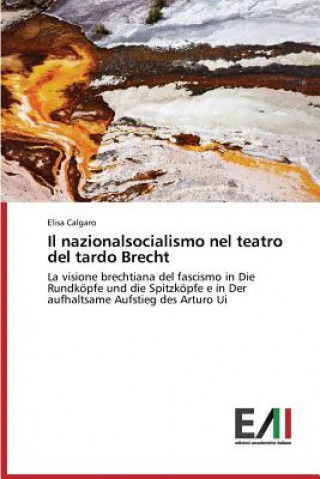 Knjiga nazionalsocialismo nel teatro del tardo Brecht Calgaro Elisa