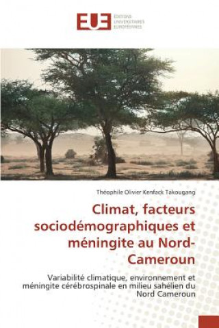 Könyv Climat, facteurs sociodemographiques et meningite au Nord-Cameroun Kenfack Takougang Theophile Olivier