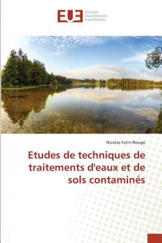 Kniha Etudes de Techniques de Traitements Deaux Et de Sols Contamines Fatinrouge-N