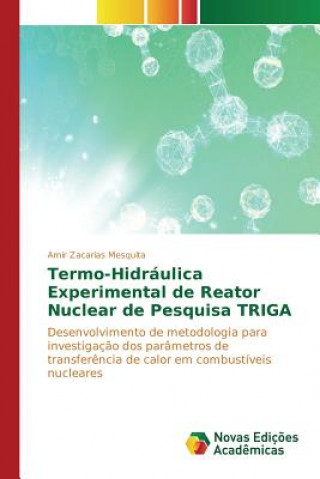 Carte Termo-Hidraulica Experimental de Reator Nuclear de Pesquisa TRIGA Mesquita Amir Zacarias