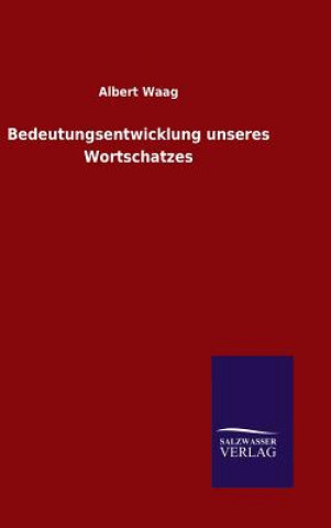 Kniha Bedeutungsentwicklung unseres Wortschatzes Albert Waag