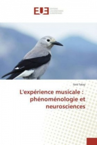 Könyv L'expérience musicale : phénoménologie et neurosciences 