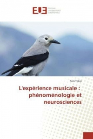 Kniha L'expérience musicale : phénoménologie et neurosciences 