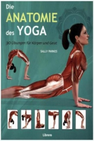 Könyv Die Anatomie des Yoga Ken Ashwell