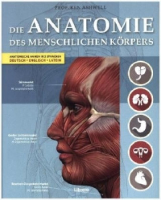 Kniha Die Anatomie des menschlichen Körpers Ken Ashwell