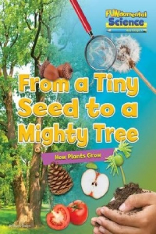 Kniha Fundamental Science Key Stage 1: From a Tiny Seed to a Mighty Tree: How Plants Grow Ruth Owen