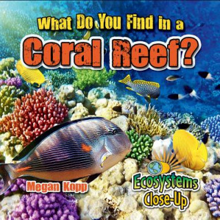 Carte What Do You Find in a Coral Reef? Megan Kopp