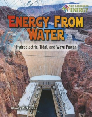 Kniha Energy from Water Nancy Dickman