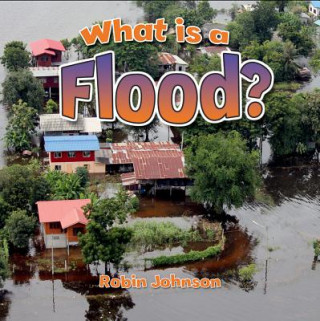 Kniha What Is a Flood? Megan Kopp