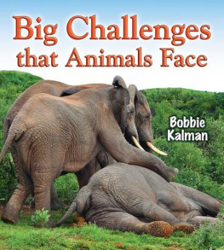 Libro Big Challenges that Animals Face Bobbie Kalman