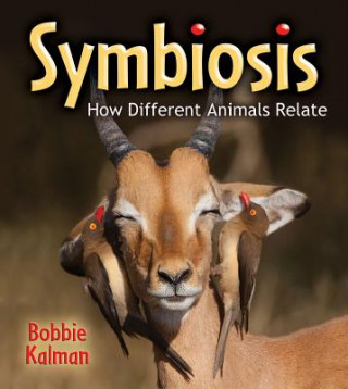 Könyv Symbiosis Bobbie Kalman