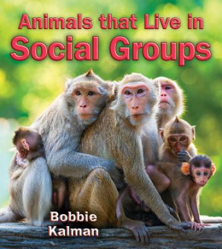 Könyv Animals that Live in Social Groups Bobbie Kalman