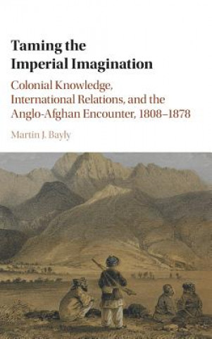 Könyv Taming the Imperial Imagination Martin J. Bayly