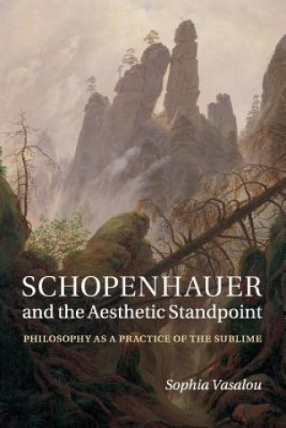 Książka Schopenhauer and the Aesthetic Standpoint Sophia Vasalou