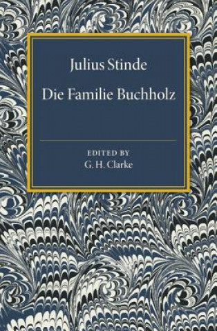 Libro Die Familie Buchholz Julius Stinde