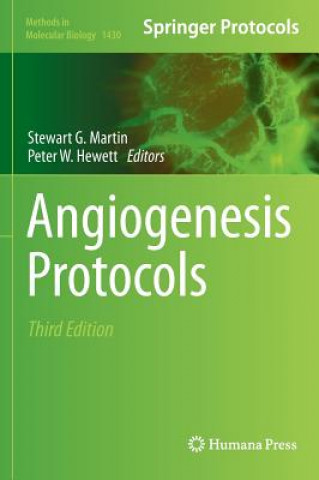 Kniha Angiogenesis Protocols Stewart G. Martin