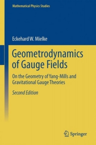 Carte Geometrodynamics of Gauge Fields Eckehard W. Mielke