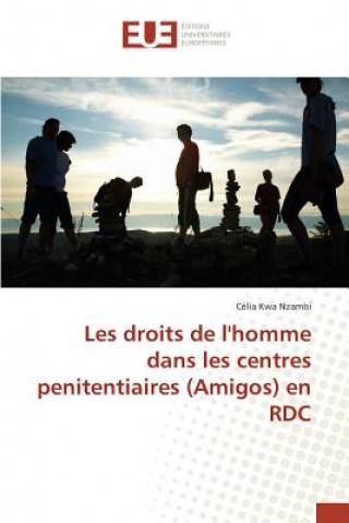 Kniha Les Droits de Lhomme Dans Les Centres Penitentiaires (Amigos) En Rdc Nzambi-C