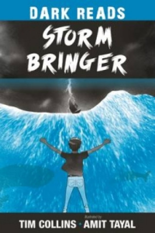 Kniha Storm Bringer Tim Collins