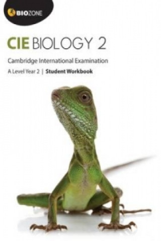 Kniha Cambridge International A Level Biology Year 2 Student Workbook Tracey Greenwood