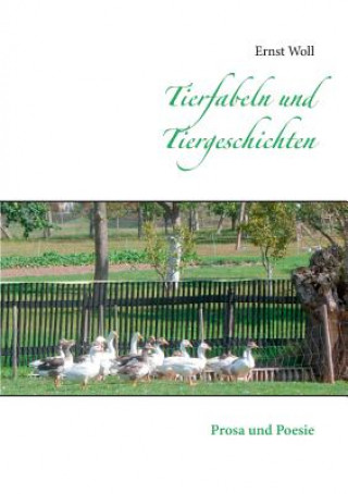 Buch Tierfabeln und Tiergeschichten Ernst Woll