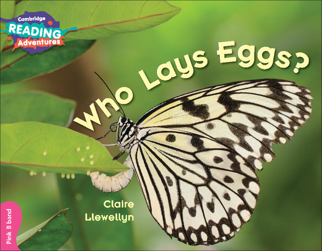 Kniha Cambridge Reading Adventures Who Lays Eggs? Pink B Band Clare Llewellyn