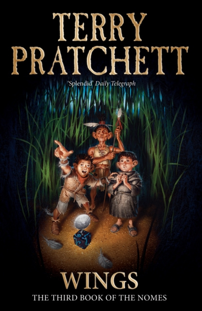 E-knjiga Wings Terry Pratchett