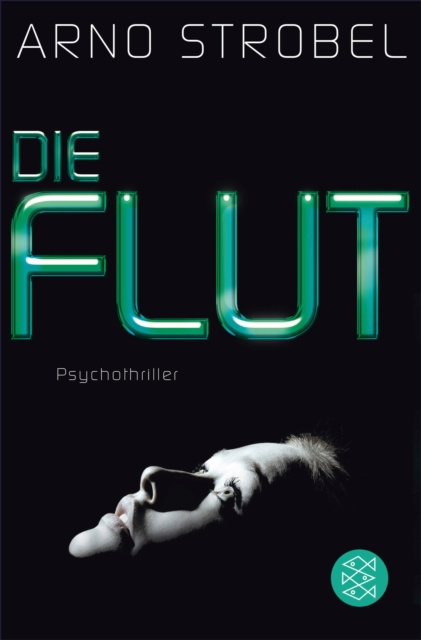 E-kniha Die Flut Arno Strobel