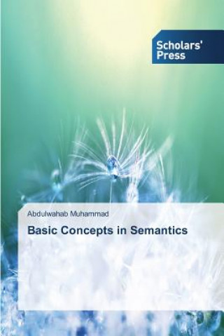 Buch Basic Concepts in Semantics Muhammad Abdulwahab