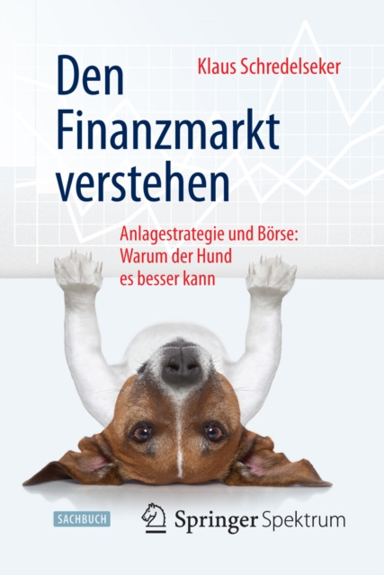 E-kniha Den Finanzmarkt verstehen 