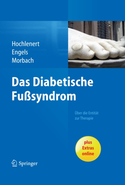 E-book Das diabetische Fusyndrom - Uber die Entitat zur Therapie 
