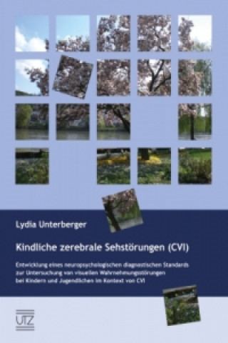 Kniha Kindliche zerebrale Sehstörungen (CVI) Lydia Unterberger