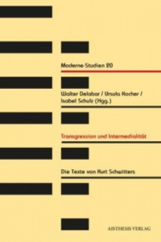 Kniha Transgression und Intermedialität Walter Delabar