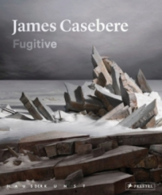 Carte James Casebere Okwui Enwezor