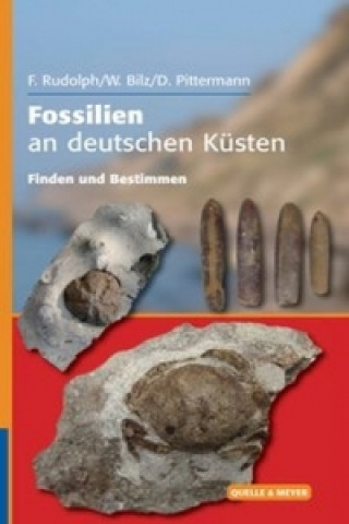 Carte Fossilien an deutschen Küsten Frank Rudolph